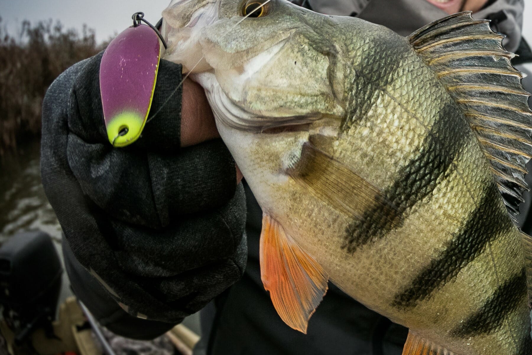 Fishing Gloves